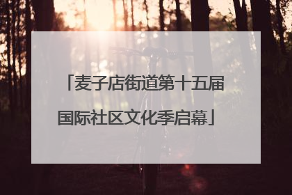 麦子店街道第十五届国际社区文化季启幕
