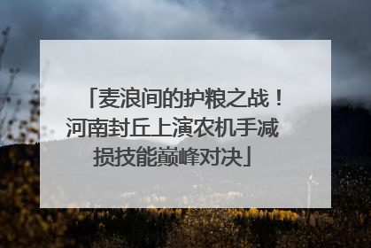 麦浪间的护粮之战！河南封丘上演农机手减损技能巅峰对决