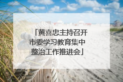 黄喜忠主持召开市委学习教育集中整治工作推进会