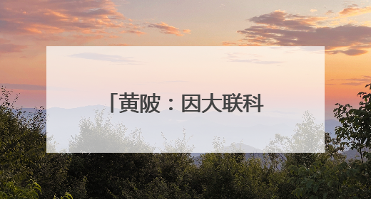 黄陂：因大联科一期开园 首批14家企业入驻