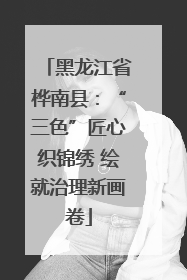 黑龙江省桦南县：“三色”匠心织锦绣 绘就治理新画卷