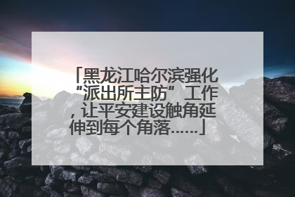 黑龙江哈尔滨强化“派出所主防”工作，让平安建设触角延伸到每个角落……