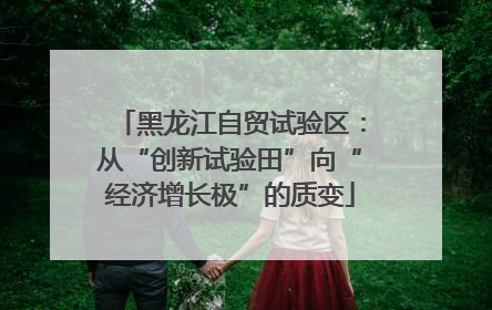 黑龙江自贸试验区：从“创新试验田”向“经济增长极”的质变