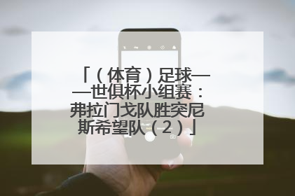 （体育）足球——世俱杯小组赛：弗拉门戈队胜突尼斯希望队（2）
