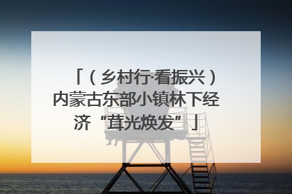 （乡村行·看振兴）内蒙古东部小镇林下经济“茸光焕发”