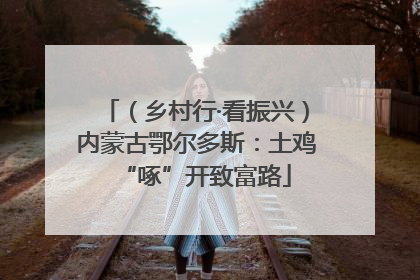 （乡村行·看振兴）内蒙古鄂尔多斯：土鸡“啄”开致富路