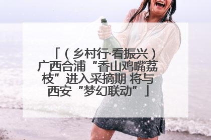 （乡村行·看振兴）广西合浦“香山鸡嘴荔枝”进入采摘期 将与西安“梦幻联动”