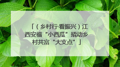 （乡村行·看振兴）江西安福“小西瓜”撬动乡村共富“大支点”