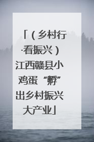 （乡村行·看振兴）江西赣县小鸡蛋“孵”出乡村振兴大产业