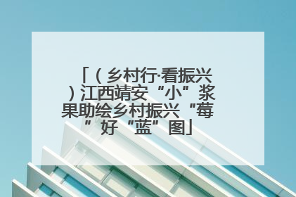 （乡村行·看振兴）江西靖安“小”浆果助绘乡村振兴“莓”好“蓝”图