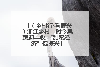 （乡村行·看振兴）浙江乡村：时令果蔬迎丰收 “甜蜜经济”促振兴