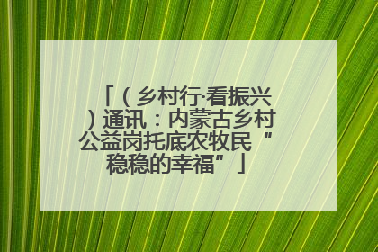 （乡村行·看振兴）通讯：内蒙古乡村公益岗托底农牧民“稳稳的幸福”
