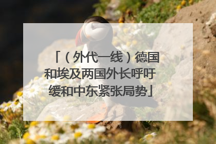 （外代一线）德国和埃及两国外长呼吁缓和中东紧张局势