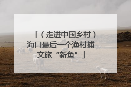 （走进中国乡村）海口最后一个渔村捕文旅“新鱼”