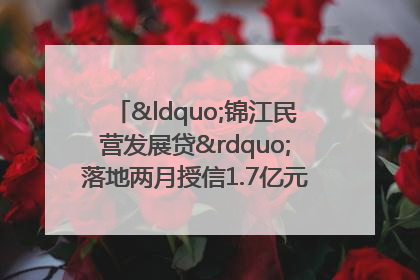 “锦江民营发展贷”落地两月授信1.7亿元，惠及118家民企
