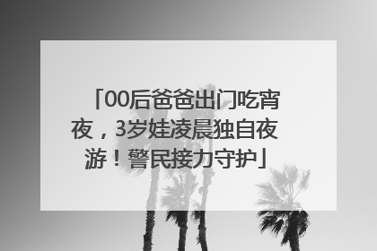 00后爸爸出门吃宵夜，3岁娃凌晨独自夜游！警民接力守护