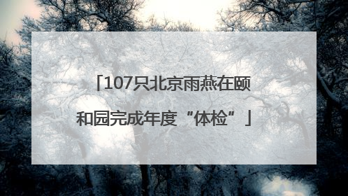 107只北京雨燕在颐和园完成年度“体检”