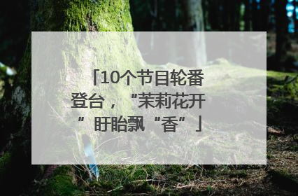 10个节目轮番登台，“茉莉花开”盱眙飘“香”