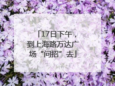 17日下午，到上海路万达广场“问招”去
