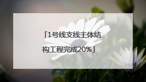 1号线支线主体结构工程完成20%