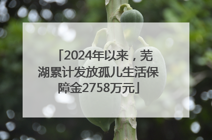 2024年以来，芜湖累计发放孤儿生活保障金2758万元
