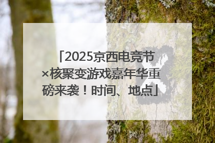 2025京西电竞节×核聚变游戏嘉年华重磅来袭！时间、地点