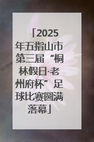 2025年五指山市第三届“桐林假日·老州府杯”足球比赛圆满落幕