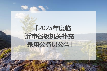 2025年度临沂市各级机关补充录用公务员公告