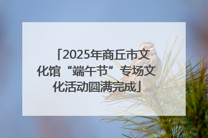 2025年商丘市文化馆“端午节”专场文化活动圆满完成