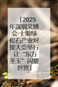 2025年深圳文博会·十堰绿松石产业对接大会举行 让“东方圣玉”闪耀世界