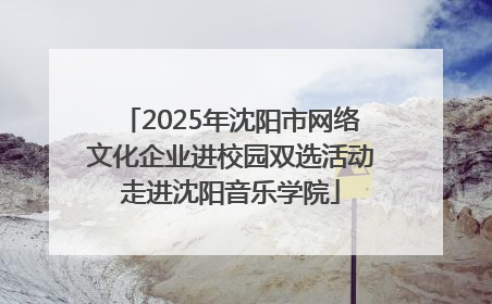 2025年沈阳市网络文化企业进校园双选活动走进沈阳音乐学院