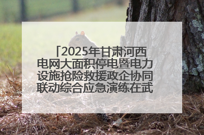 2025年甘肃河西电网大面积停电暨电力设施抢险救援政企协同联动综合应急演练在武威成功举行