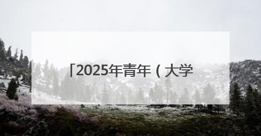 2025年青年（大学生）“青耘八桂·百色芒果”营销大赛开幕