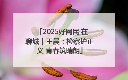 2025好网民·在聊城｜王晨：检察护正义 青春筑晴朗