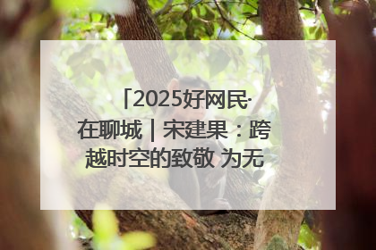 2025好网民·在聊城｜宋建果：跨越时空的致敬 为无名烈士“正名”