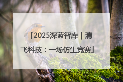 2025深蓝智库｜清飞科技：一场仿生竞赛