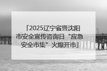 2025辽宁省暨沈阳市安全宣传咨询日“应急安全市集”火爆开市