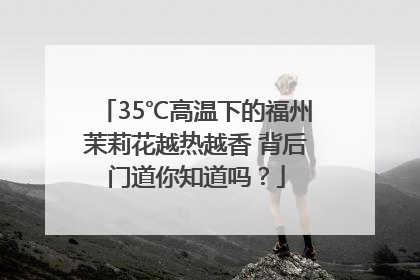 35℃高温下的福州茉莉花越热越香 背后门道你知道吗？