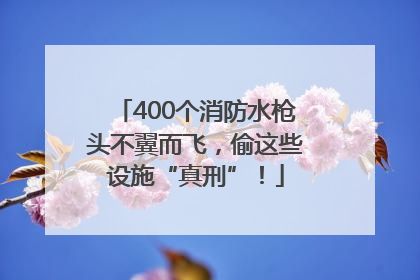 400个消防水枪头不翼而飞，偷这些设施“真刑”！