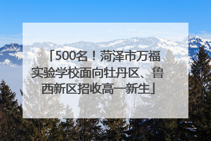 500名！菏泽市万福实验学校面向牡丹区、鲁西新区招收高一新生