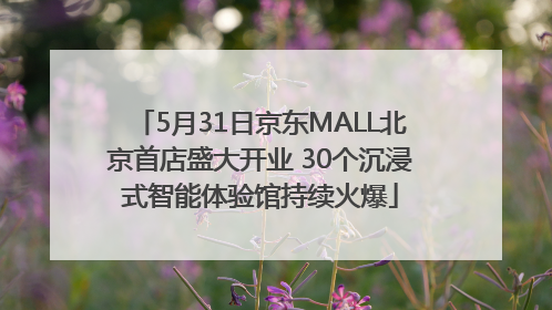 5月31日京东MALL北京首店盛大开业 30个沉浸式智能体验馆持续火爆