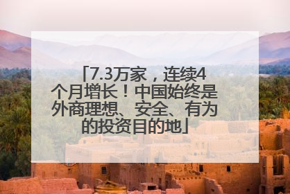 7.3万家，连续4个月增长！中国始终是外商理想、安全、有为的投资目的地