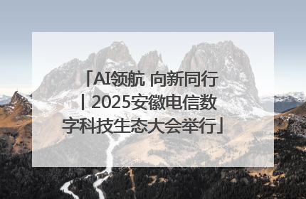 AI领航 向新同行丨2025安徽电信数字科技生态大会举行
