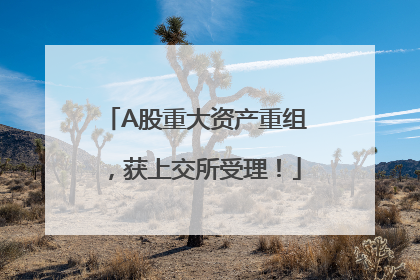 A股重大资产重组，获上交所受理！