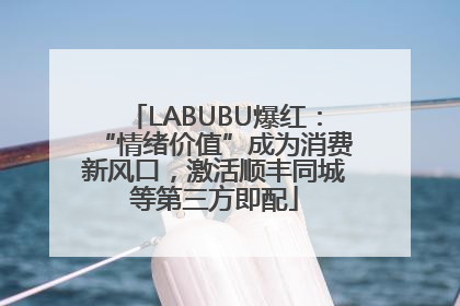 LABUBU爆红：“情绪价值”成为消费新风口，激活顺丰同城等第三方即配